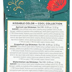 Burts Bees Cool Kissable Color Gift Set, 1 EA