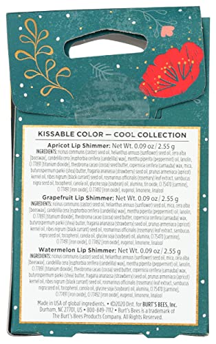 Burts Bees Cool Kissable Color Gift Set, 1 EA