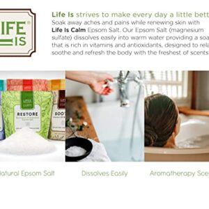 Life Is Calm Epsom Salt Spa 6-Pack l Dissolvable Therapy Formulas for Bath (Restore, Clense, Relax, Balance, Purify & Soothe)