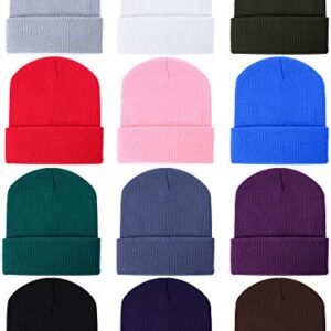 Zhanmai 12 Pieces Knit Hat Beanie Hats Warm Cozy Knitted Cuffed Skull Cap for Adults Kids (Multicolor)