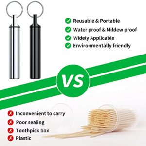 Metal Portable Toothpick Holder Box 3 Pieces ,Pocket Waterproof Case Toothpicks Container with Keychain for Outdoor Picnic and Camping travel purse Ear Wax Removal Tool Case Needle Holder cotton swab