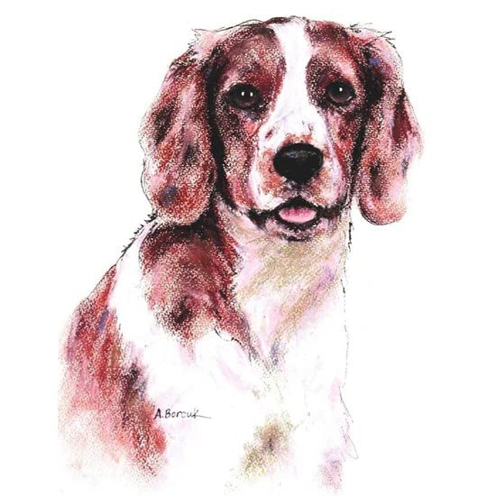 CafePress Welsh Springer Spaniel Mug Ceramic Coffee Mug, Tea Cup 11 oz