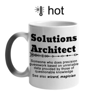 Solutions Architect Profession Funny Quote Magic Mug, Heat Sensitive Color Changing Reveal Cup 11oz