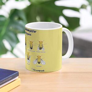 drosophila melanogaster phenotypes. 11 oz premium quality printed coffee mug, comfortable to hold, unique gifting ideas for friend/coworker/loved ones