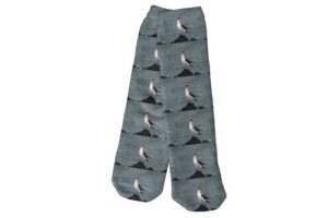spreadpassion blue footed booby sula nebouxii galapagos socks – galapagos novelty socks – soft and ultra-comfortable birthday gifts socks