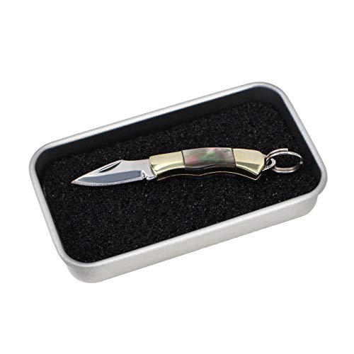 Tiny Folder Miniature Gadgets Collection Knife, Eastern Delights Pocket Smallest Multi Tool (Black Shell)