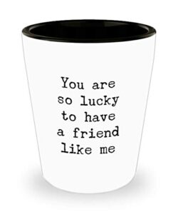 funny for friend you are so lucky to have a friend like me shot glass unique ceramic 1.4 oz birthday stocking stuffer