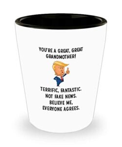 for grandmother you’re a great great grandmother not fake news believe me awesome donald trump drinking shot glass shooter birthday stocking