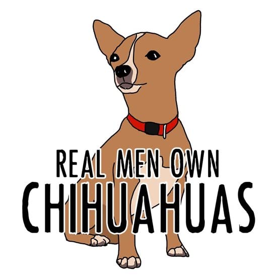 CafePress Real Men Own Chihuahuas Ceramic Coffee Mug, Tea Cup 11 oz