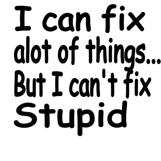 CafePress I Can Fix Alot Of Things But I Cant Fix Stupid Ceramic Coffee Mug, Tea Cup 11 oz