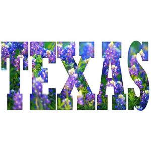 CafePress Texas Bluebonnets Mug Ceramic Coffee Mug, Tea Cup 11 oz