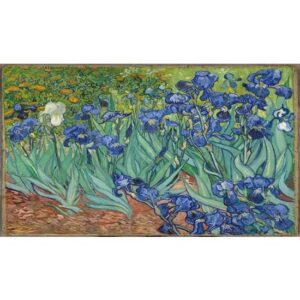 CafePress Vincent Van Gogh's Irises Mugs Ceramic Coffee Mug, Tea Cup 11 oz