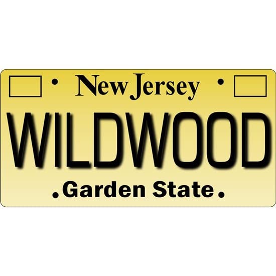 CafePress Wildwood NJ Tagwear Mug Ceramic Coffee Mug, Tea Cup 11 oz