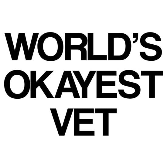 CafePress World's Okayest Vet Mug Ceramic Coffee Mug, Tea Cup 11 oz