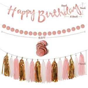 Rose Gold and Pink Birthday Party Decorations Set with Happy Birthday Banner,DIY Cake Topper,Circle Dots Garland,Hanging Swirls,Tissue Paper Pompoms,Paper Tassels Garland,Confetti Balloons for Man Women Birthday Party Decorations