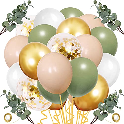 64 PCS Artificial Eucalyptus Leaves Stems Sage Green Blush Balloons, 12 Inch Sage Green Blush Nude Balloons with Artificial Eucalyptus for Baby Bridal Shower Birthday Safari Party Decoration