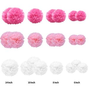 Tissue Paper Pompoms Paper Flower 22 Pcs Pink,Rose Red,White Paper Flower Ball for Birthday Bachelorette Wedding Baby Shower Bridal Shower Party Decoration