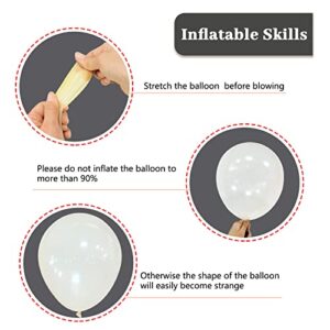 Clear Latex Balloons 12 Inch, Transparent balloons Pack of 100, Party Balloons for Baby Shower, Helium Balloons Clear for Birthday wedding-clear