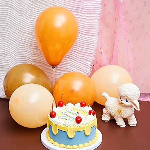 120 Pieces 5 Inch Retro Latex Balloons Retro Party Balloons for Baby Shower Birthday Wedding Engagement Graduation Party Art Performance Reveal Decoration (Caramel, Coffee, Apricot)