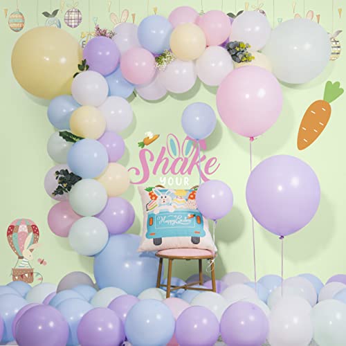 Styirl Pastel Pink Balloons Garland - 100 Pcs 5/10/12/18 Inch Pink Balloon arch Kit for Birthday Party/Easter Decorations/Mothers Day Decor/Baby Shower/Gender Reveal / 2022 Graduation