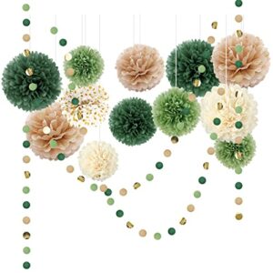 aobkiat wedding party decorations set, 15pcs green tissue paper pom poms, dots paper garland string hanging backdrop for engagement, green boho wedding, baby shower