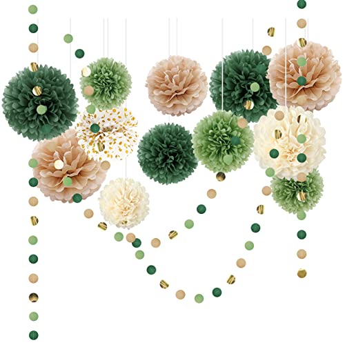 AOBKIAT Wedding Party Decorations Set, 15PCS Green Tissue Paper Pom Poms, Dots Paper Garland String Hanging Backdrop for Engagement, Green Boho Wedding, Baby Shower