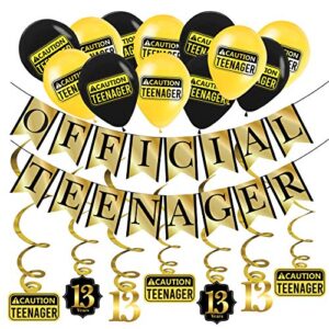 funny official teenager 13th birthday party pack – gold & black 13th birthday party supplies, decorations and favors
