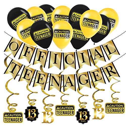 Funny OFFICIAL TEENAGER 13th Birthday Party Pack - Gold & Black 13th Birthday Party Supplies, Decorations and Favors