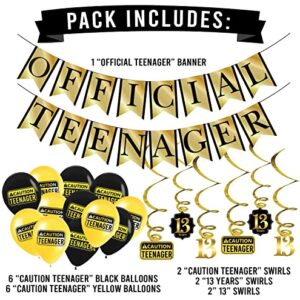 Funny OFFICIAL TEENAGER 13th Birthday Party Pack - Gold & Black 13th Birthday Party Supplies, Decorations and Favors