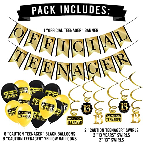 Funny OFFICIAL TEENAGER 13th Birthday Party Pack - Gold & Black 13th Birthday Party Supplies, Decorations and Favors