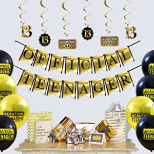 Funny OFFICIAL TEENAGER 13th Birthday Party Pack - Gold & Black 13th Birthday Party Supplies, Decorations and Favors