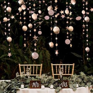 champagne gold party decoration circle dot garland twinkle star hanging streamer stars banner backdrop engagement/anniversary/wedding/baby shower/christmas/birthday/bday/sweet 16/new year