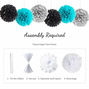 ANSOMO Black Teal Blue and Silver Happy Birthday Party Decorations Turquoise Aqua Balloons Décor Supplies Men Women Boys Girls 1st 2nd 3rd 16th 20th 25th 30th 35th 40th 45th 50th 60th 70th