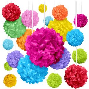 avoseta tissue paper pom poms – 20 piece set – colorful party decorations – paper flowers for birthdays and special occasions (multicolor, assorted sizes)