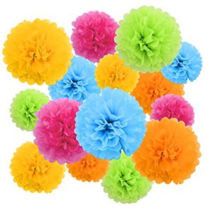 Livder Paper Flowers Bright Colorful Tissue Paper Pom Poms for Party Birthday Wedding Christmas Festive Decorations, 15 Pieces of 10, 12, 14 Inch