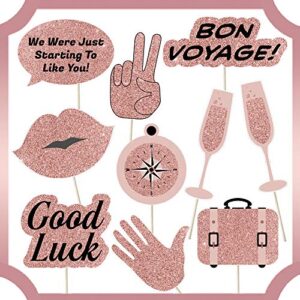 Going Away Party Decorations Kit |"Miss You Already!" Banner | 10 Going Away Party Photo Booth Props | Rose Gold Tassels | 10 Rose Gold Confetti Balloons 5 Rose Gold Balloons