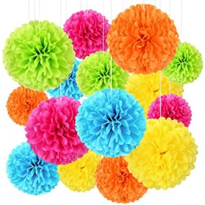 Tissue Pom Pom Paper Flower Ball Party Decorations - 15 Pcs 10, 12, 14 Inch -for Wedding, Birthday, Bridal Shower, Bachelorette, Baby Gift Shower