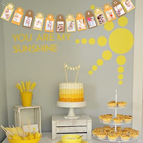 Gankbite Sunshine 12 Month Photo Banner Boho Neutral Rainbow 1st Birthday Decoration First Trip Around The Sun One Year Party Supplies