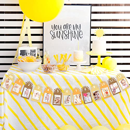 Gankbite Sunshine 12 Month Photo Banner Boho Neutral Rainbow 1st Birthday Decoration First Trip Around The Sun One Year Party Supplies