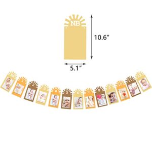 Gankbite Sunshine 12 Month Photo Banner Boho Neutral Rainbow 1st Birthday Decoration First Trip Around The Sun One Year Party Supplies