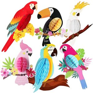 katchon, big tropical birds honeycomb cutouts – pack of 6, luau party decorations | hawaiian party decorations | tropical party decorations, tropical birthday party decorations, rainforest decorations