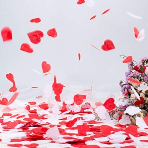 Whaline 6000 Pieces Valentine's Day Paper Confetti Red Heart Tissue Confetti Party Table Decorations for Balloon, Wedding, Holiday, Birthday