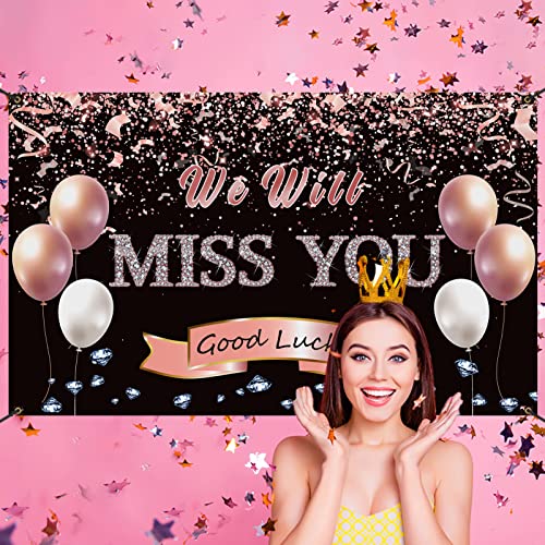 Trgowaul Retirement Farewell Party Decorations,Rose Gold We Will Miss You Sign Banner Backdrop Goodbye Party Decorations,Going Away Party Retirement Party Bye Office Work Graduation Party Decorations
