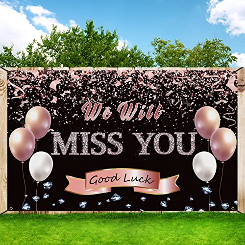 Trgowaul Retirement Farewell Party Decorations,Rose Gold We Will Miss You Sign Banner Backdrop Goodbye Party Decorations,Going Away Party Retirement Party Bye Office Work Graduation Party Decorations