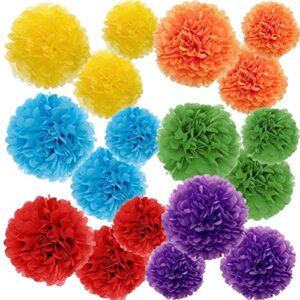 gavoyeat paper pom poms color tissue flowers birthday celebration wedding party halloween christmas outdoor decoration,18 pcs of 10 12 14 inch