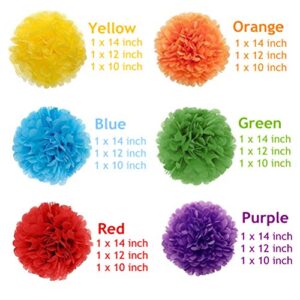 Gavoyeat Paper Pom Poms Color Tissue Flowers Birthday Celebration Wedding Party Halloween Christmas Outdoor Decoration,18 pcs of 10 12 14 Inch