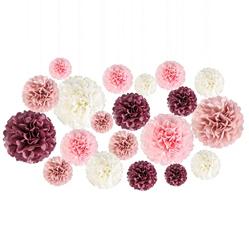 20-Piece Paper Pom Poms Party Kit – Tissue Paper Pom Poms Decorations - Birthday Party Decorations Bridal Shower Bachelorette Baby Shower