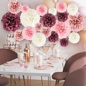 20-Piece Paper Pom Poms Party Kit – Tissue Paper Pom Poms Decorations - Birthday Party Decorations Bridal Shower Bachelorette Baby Shower