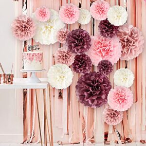 20-Piece Paper Pom Poms Party Kit – Tissue Paper Pom Poms Decorations - Birthday Party Decorations Bridal Shower Bachelorette Baby Shower