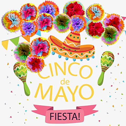 ZERODECO Cinco De Mayo Decorations, 18 Pcs Multicolor Fiesta Tissue Pom Paper Flowers 12 inch 14 inch for Mexican Carnival Rainbow Theme Party Supplies